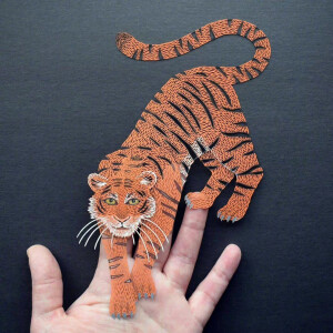 纸雕艺术， ins：bearfollowscat ​​​