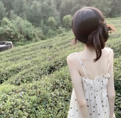 二传注明
