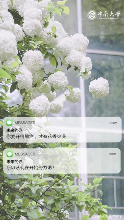 高校壁纸