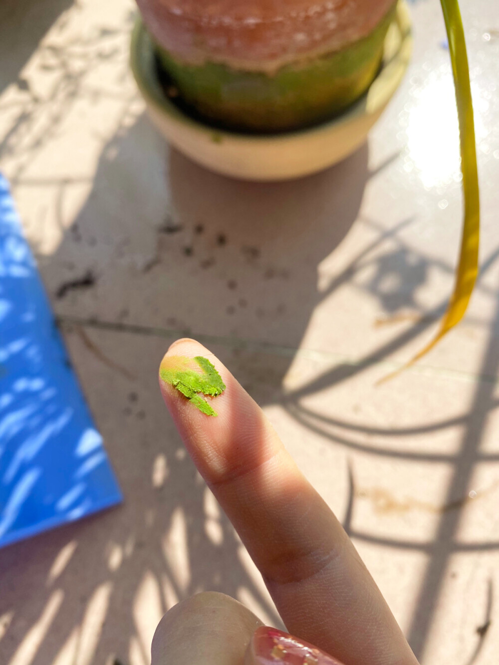 时光飞驰记录：
1、冬季的水仙香气
2、陶盆上的青苔好像抹茶 忍住吮手指的冲动
3、夏季的栀子花
4、春夏之交 草坪上长出了半边莲
5、在甘孜摘的青苹果 很有果味
6、春天花市的洋牡丹
7、夏天的自制荔枝气泡水
8、下班路上 番茄上面有好多星星
9、去邮局取杂志 ​​​