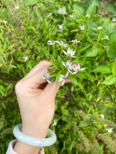 时光飞驰记录：
1、冬季的水仙香气
2、陶盆上的青苔好像抹茶 忍住吮手指的冲动
3、夏季的栀子花
4、春夏之交 草坪上长出了半边莲
5、在甘孜摘的青苹果 很有果味
6、春天花市的洋牡丹
7、夏天的自制荔枝气泡水
8、下…