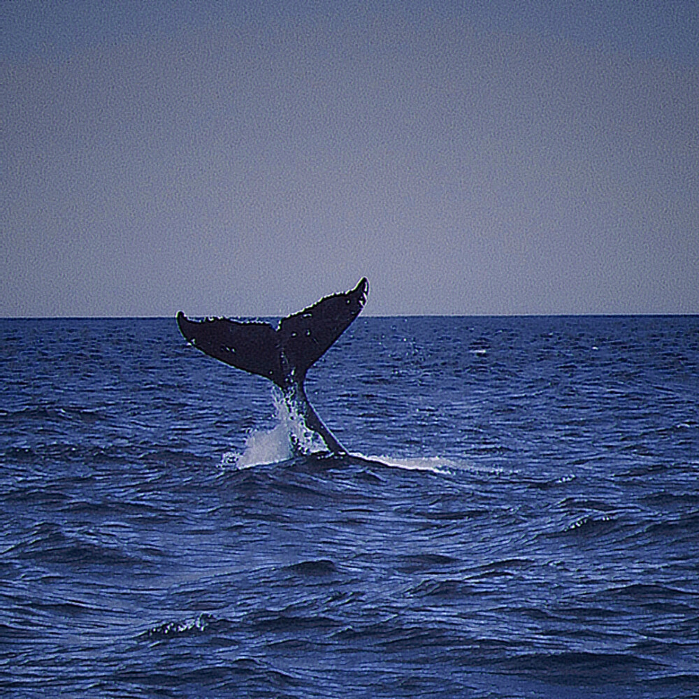 
" Legend of the blue sea：
