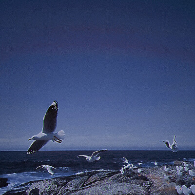 
" Legend of the blue sea：
