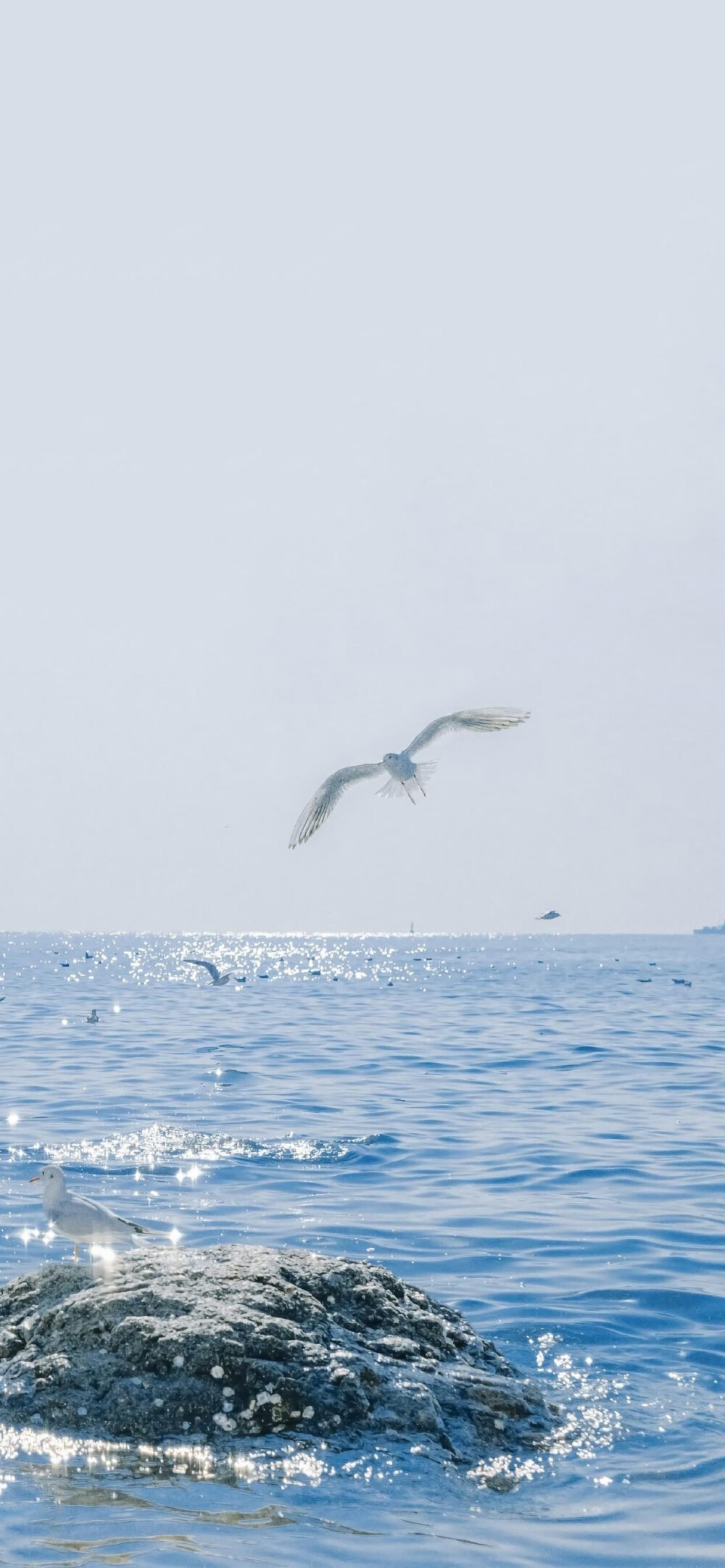 蓝色 海浪 天空 美