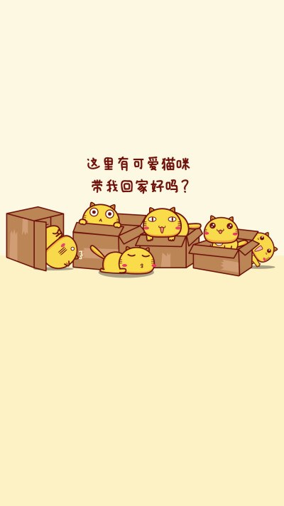 当猫真好～哈咪猫