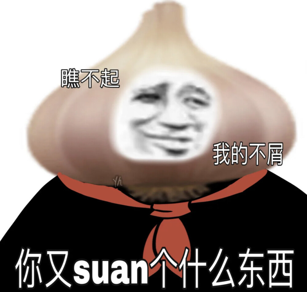 你suan什么