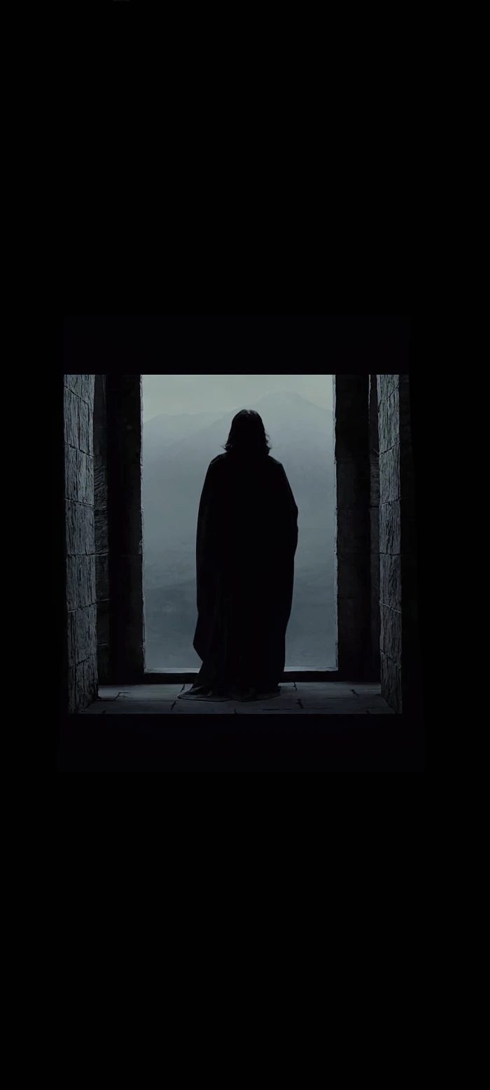 梵高的星空，遇上西弗勒斯孤独的背影。不一样的火花
侵权删