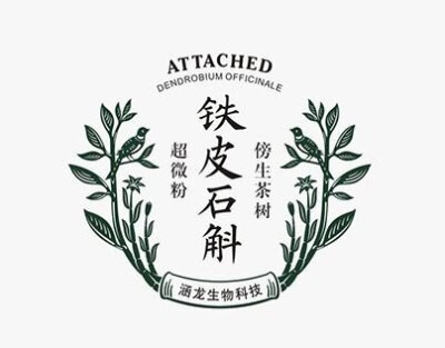 中国式Logo