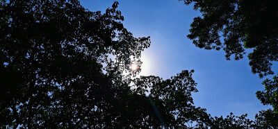 今天天气很好适合跟女朋友出来玩可惜，我没有只能拿个智能板砖拍拍照