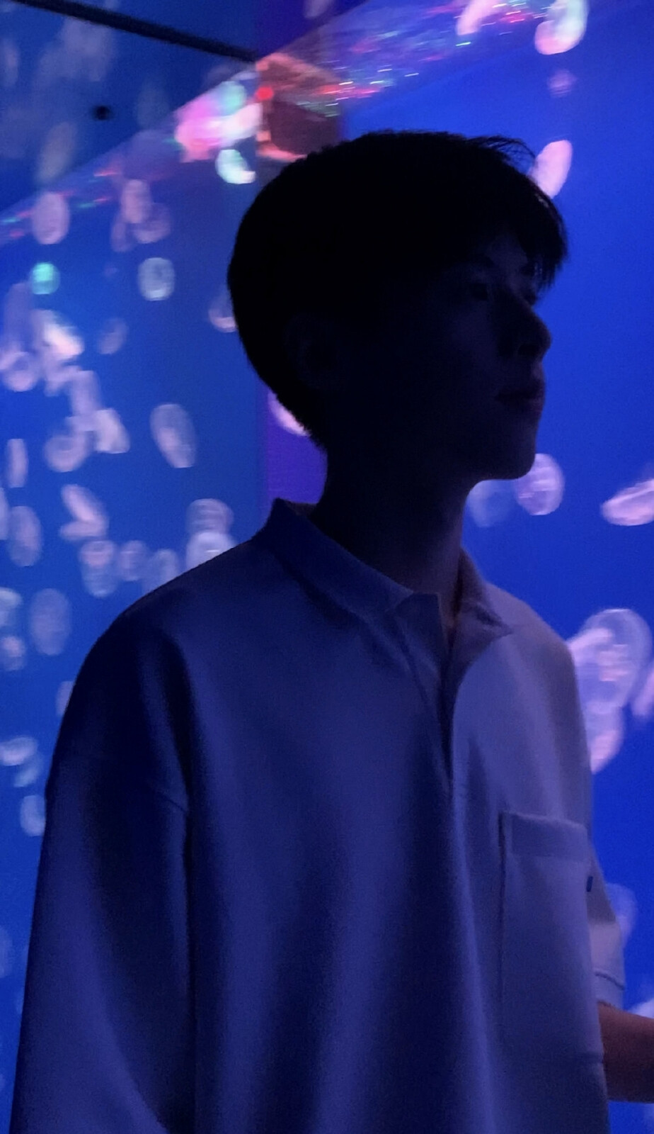 二传标明dt:HY耶