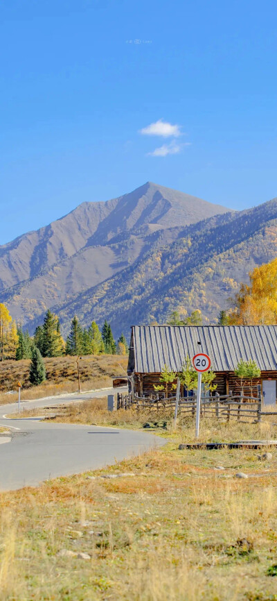 风景