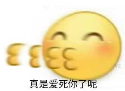 表情包o～
又是可爱的一天
侵权删