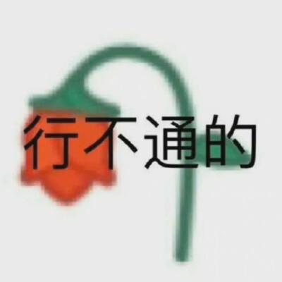 委屈巴巴吃棉花