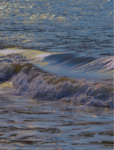海