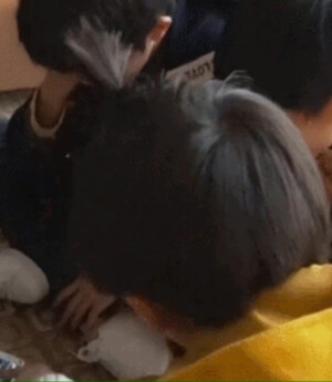 TNT时代少年团 丁程鑫

苹果头小鑫(/ω＼)

cr.shidebahh