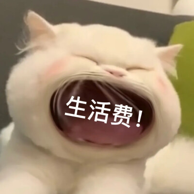 修猫猫表情包