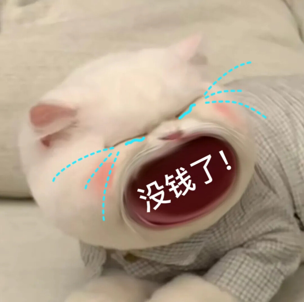 修猫猫表情包