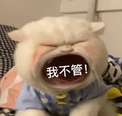 修猫猫表情包