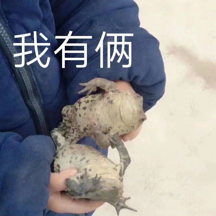 情头