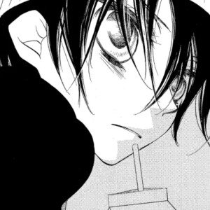 在矢车菊黎明中