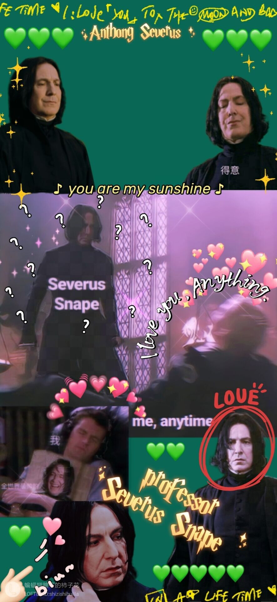 哈利波特，西弗勒斯斯内普，斯莱特林院长，魔药教授…