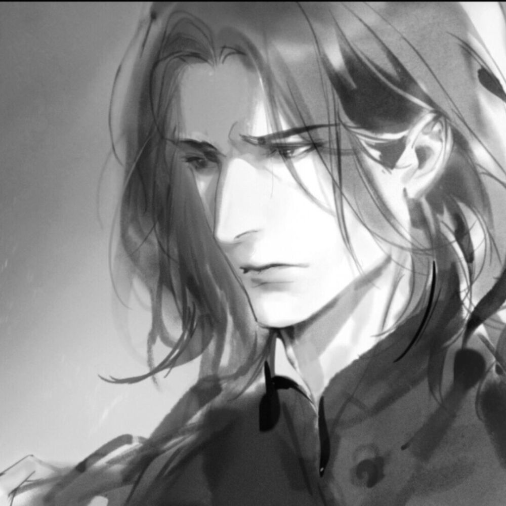 哈利波特，西弗勒斯斯内普，斯莱特林院长，魔药教授…