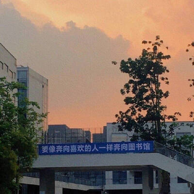 避免遗忘.