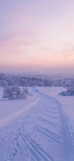 雪景