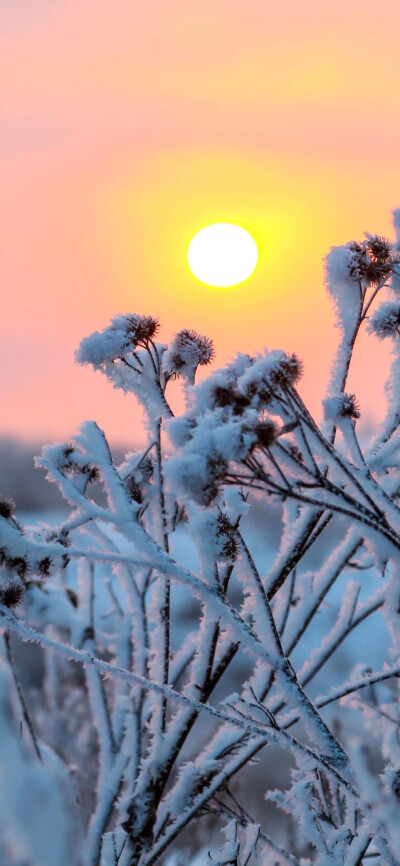 雪景