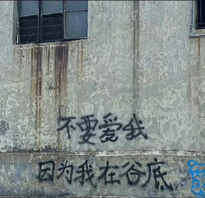 不要爱我