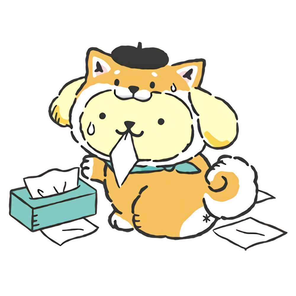 三丽鸥的暖冬派对
装扮软萌柴犬狗狗