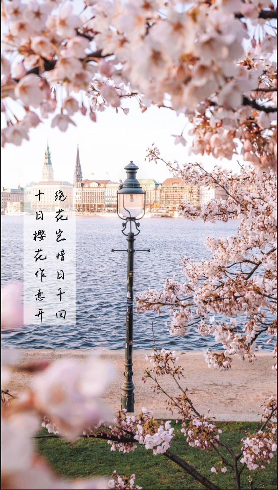 原创背景图
p1文字摘自近代作家苏晏殊的《樱花落》
p2文字源自小红书用户UOON分享的图文
p3文字源于歌曲《一念一世》的歌词
p456789均为p123的初始图与收藏者信息 APP：堆糖 搜索：风景与日落