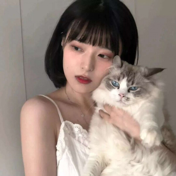 女生头像 抱猫