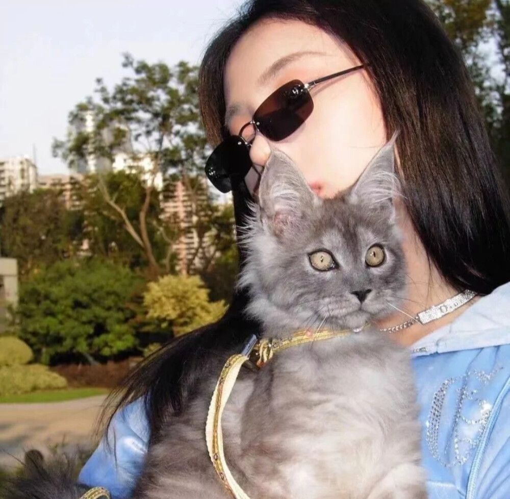 女生头像 抱猫