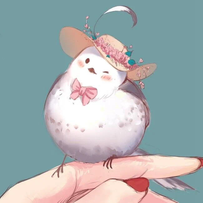 。。。
