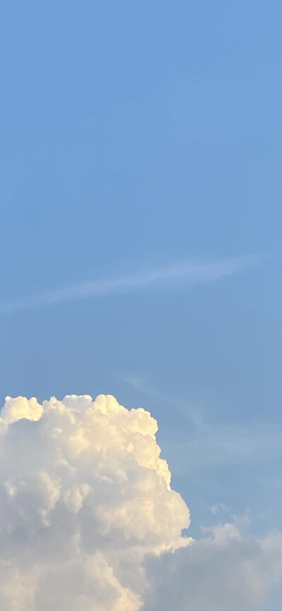 赞₍₍Ϡ(੭•̀ω•́)੭✧⃛