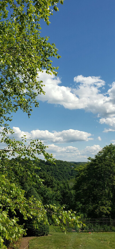 赞₍₍Ϡ(੭•̀ω•́)੭✧⃛