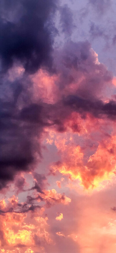 赞₍₍Ϡ(੭•̀ω•́)੭✧⃛