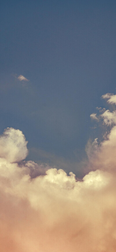 赞₍₍Ϡ(੭•̀ω•́)੭✧⃛