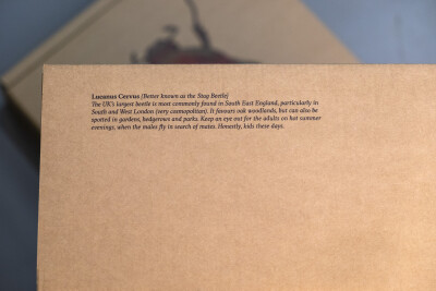 全球优秀原创包装设计欣赏170