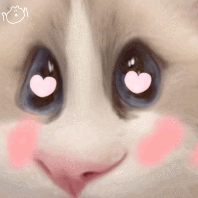 仓鼠猫Rookie表情包2
侵权删