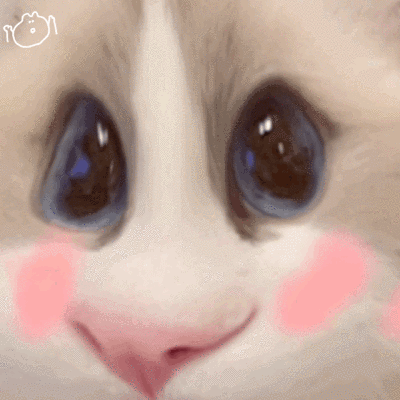 仓鼠猫Rookie表情包2
侵权删