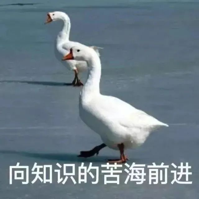 粗来玩