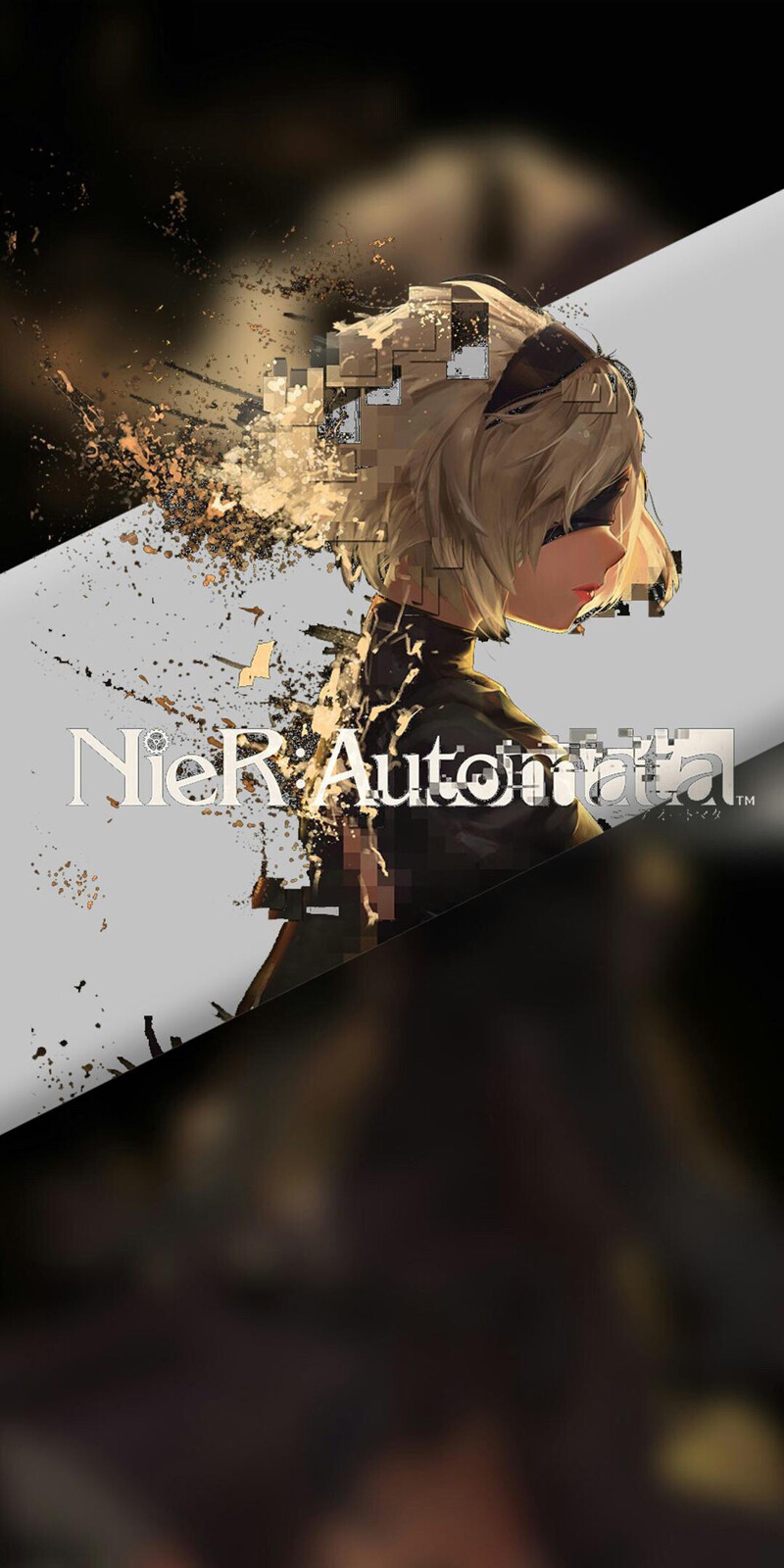 2B