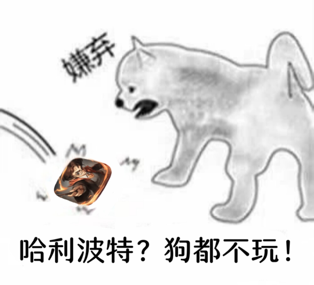哈利波特狗都不玩
