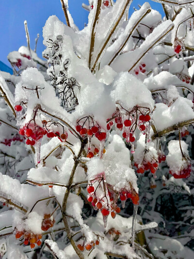 雪