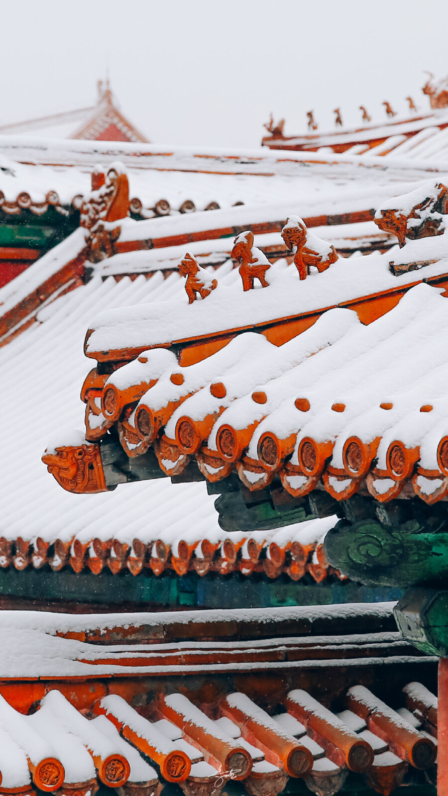 故宫雪景图片特写图片