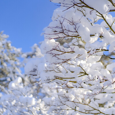 头像 背景图 下雪 日系