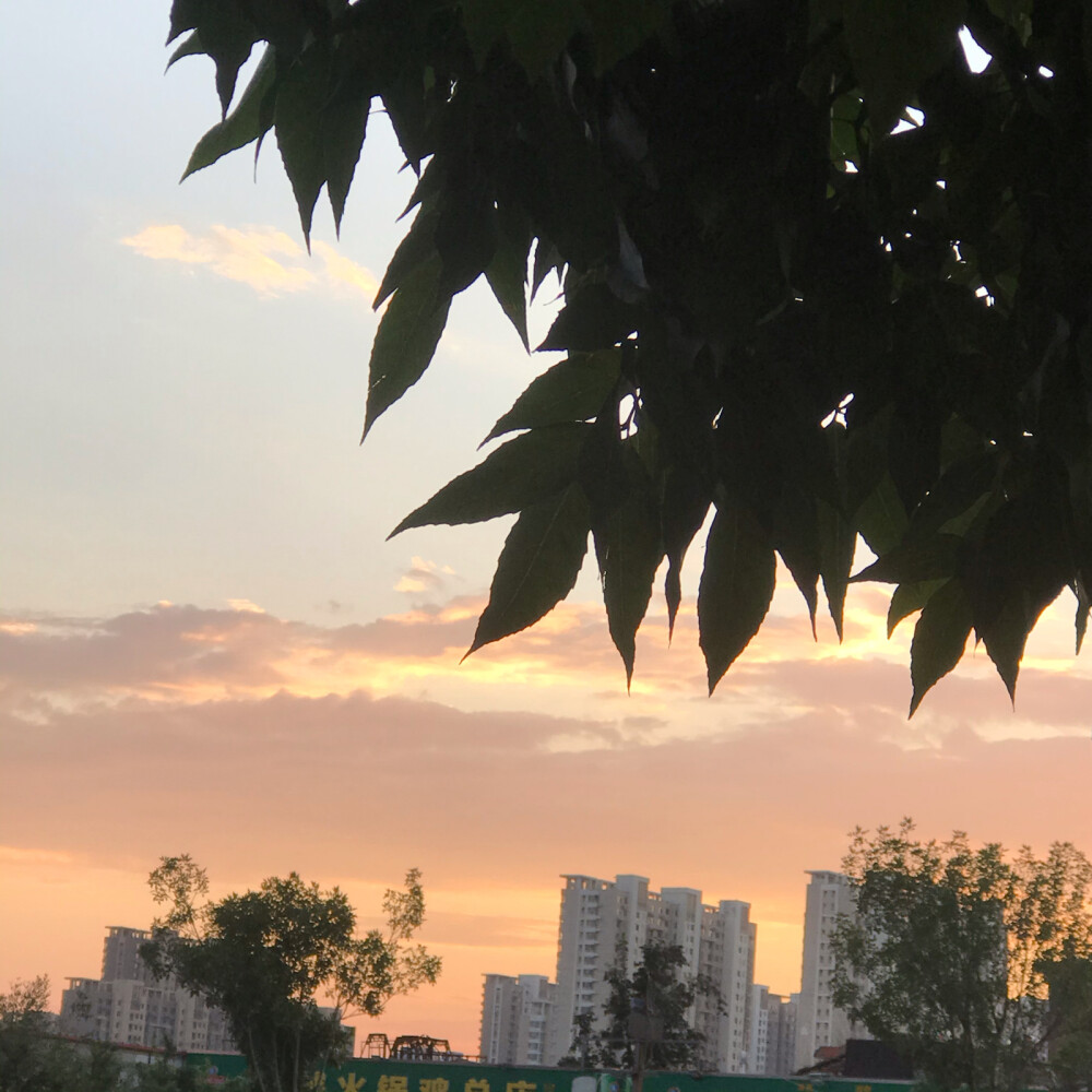 实拍夕阳
暗恋是为你翻山越岭，你却与我无数次擦肩。
你是我从未得到的风景。