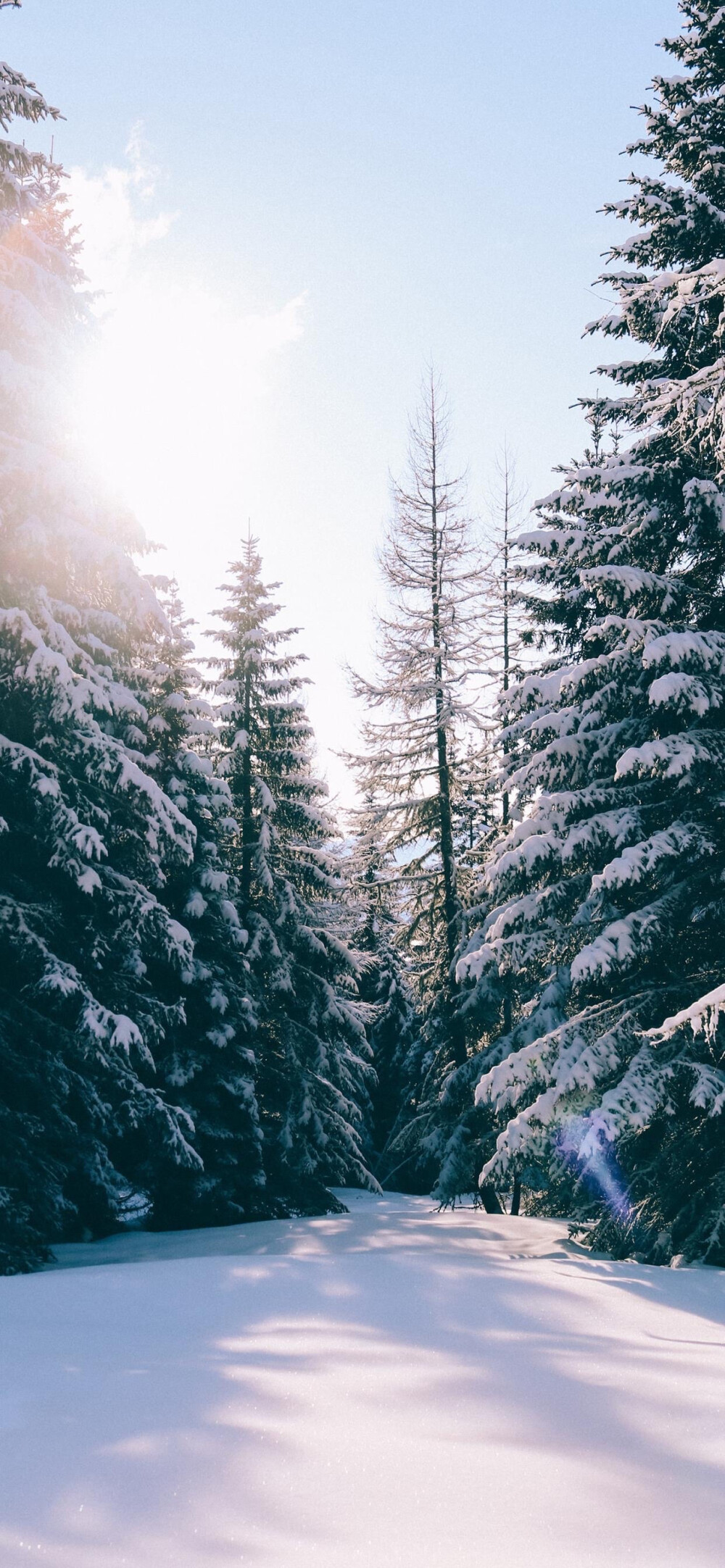 下雪的时候真的很美